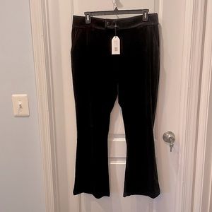 NWT Universal Standard Black Farrah Velvet Pants Size 14